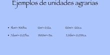 UNIDADES AGRARIAS
