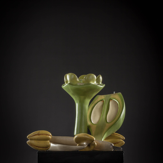 IES_CARDENALCISNEROS_BOTÁNICA_III_MODELOS_015