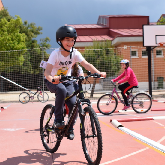 Educación Vial 5º primaria 22