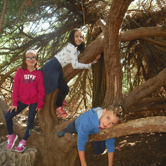 granja segunda parte 24