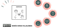 los sentidos