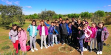 Salida Bosque Sur.3º de Primaria. Octubre 2019 12
