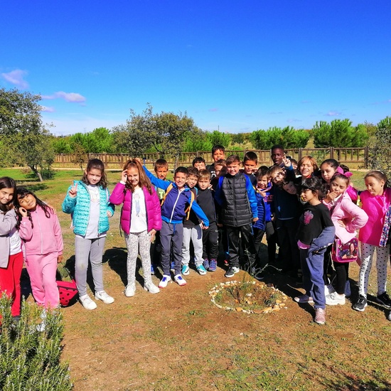 Salida Bosque Sur.3º de Primaria. Octubre 2019 12