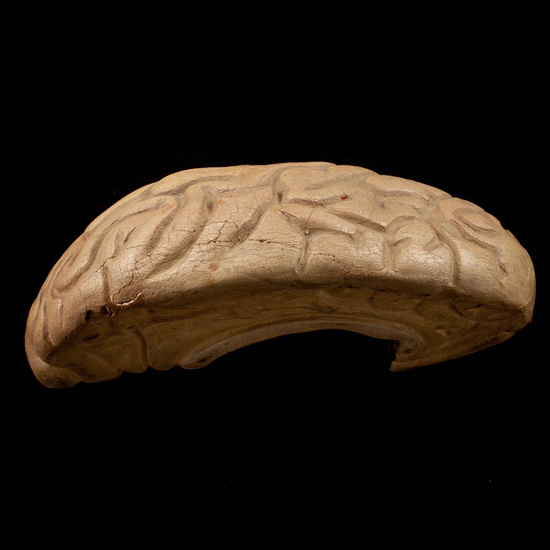 IES_ISABELLACATOLICA_ANATOMIA_019