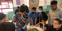 COSECHA DE LECHUGA DEL HUERTO Y COMIDA EN LA CLASE