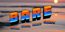 PROYECTO B.A.R.E.