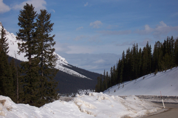 Camino, Parque Nacional Banff