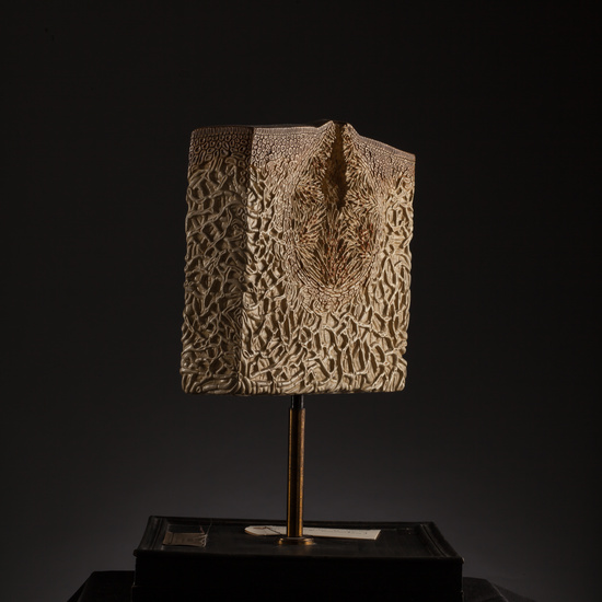 IES_SANISIDRO_BIOLOGIA_167