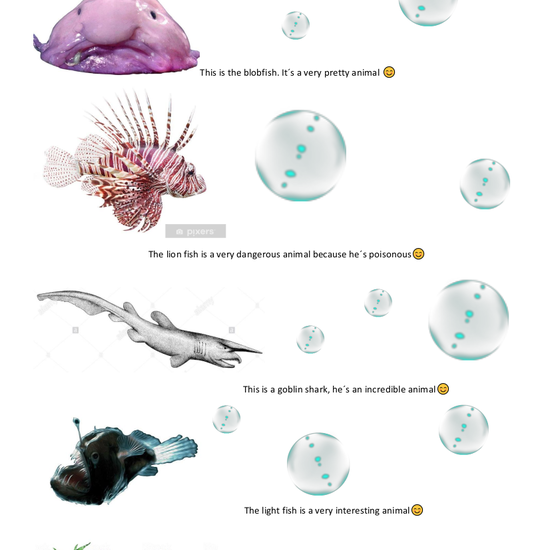 vega_wonderful_water