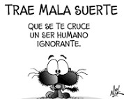 LA VIDA DE LOS GATOS. PROGRAMA 1.