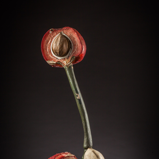 IES_ISABELLACATOLICA_BIOLOGIA_154