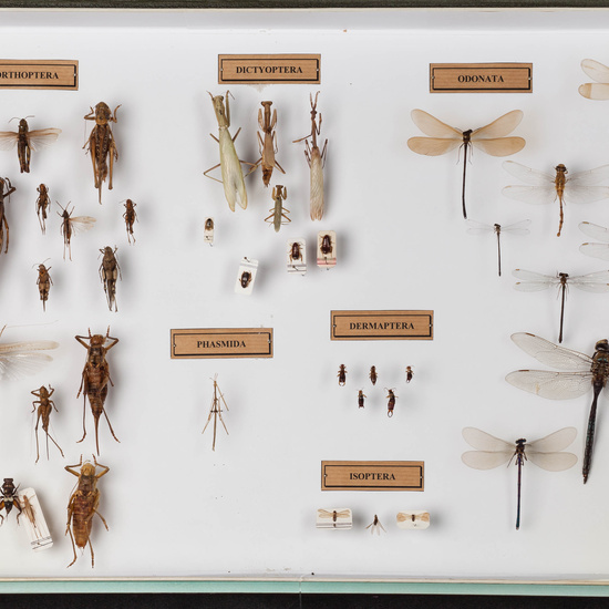 IES_SANISIDRO_MUSEO_016