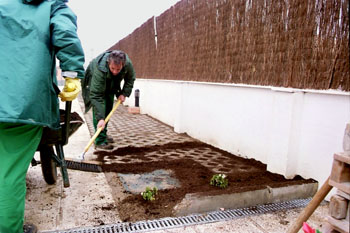 Trabajos de jardinería