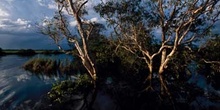 Parque Nacional Kakadu, Australia