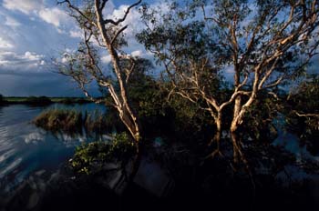 Parque Nacional Kakadu, Australia