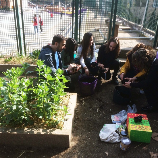 El huerto en febrero_CEIP FDLR_Las Rozas 9