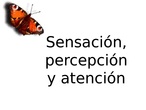 PSICOLOGÍA BACHILLERATO TEMA 3