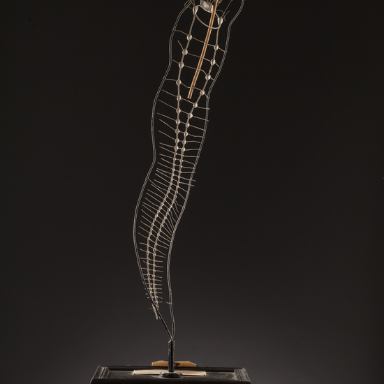 IES_SANISIDRO_BIOLOGIA_145