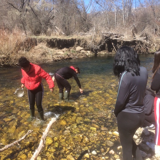 TALLER BIODIVERSIDAD PINILLA DEL VALLE 10