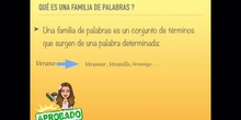  PRIMARIA - 5 - LAS FAMILIAS DE PALABRAS - LENGUA