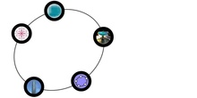 Estadística con GeoGebra Covid 19