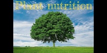 3º - PLANT NUTRITION (PHOTOSYNTHESIS) - NATURAL SCIENCE - PATRICIA R - FORMACIÓN