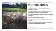 Instrucciones t5