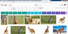 Ejemplo de búsqueda de imagen CC en Google