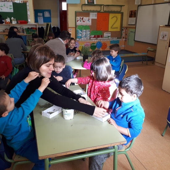 TALLER DE PLANTAS - 3 AÑOS INFANTIL 11