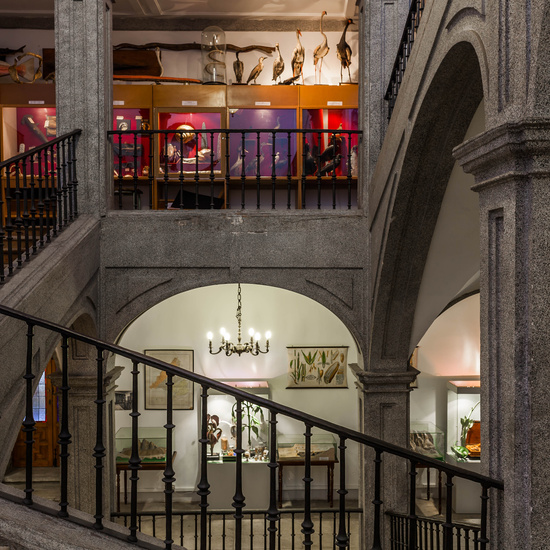 IES_SANISIDRO_EDIFICIO_029