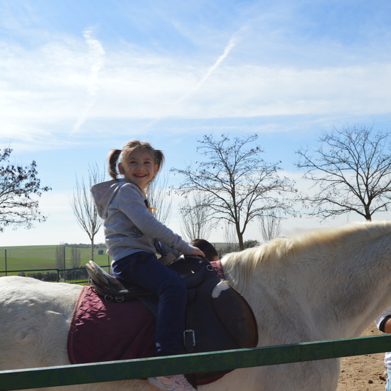 GRANJA ESCUELA ALBITANA 11