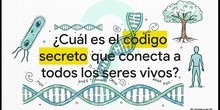 Vídeo resumen "Génetica y Evolución"