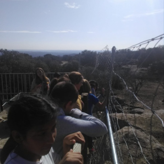 NOCHE MÁGICA 2019 (1ª parte) 18