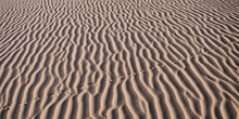 Huellas de roedor en la arena, Namibia