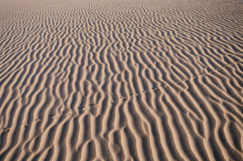 Huellas de roedor en la arena, Namibia