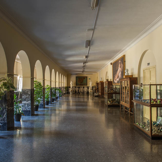 IES_LOPEDEVEGA_EDIFICIO_005