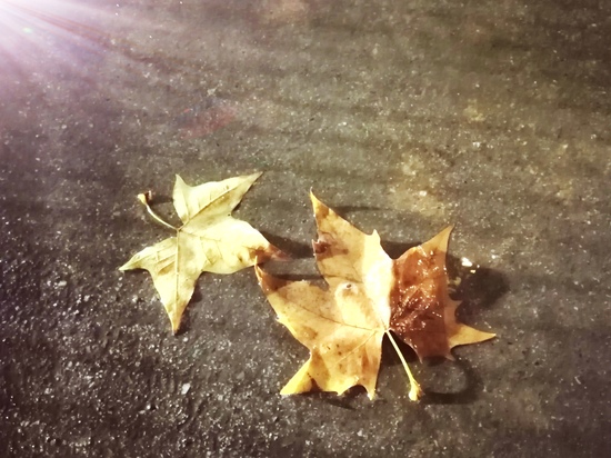 Gonzalo Rojas 1ºF foto 3 concurso fotografía IES Satafi