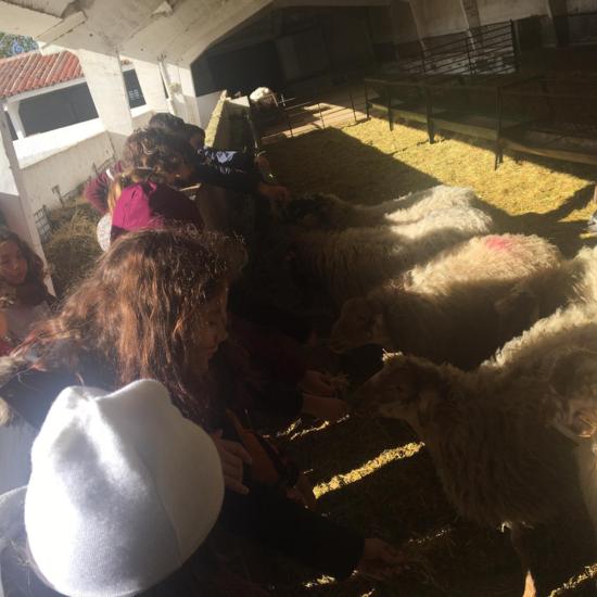 Albergue 6º - 2º día (mañana) 28