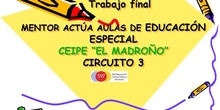 Mentoractúa Aulas de Educación Especial en centros ordinarios