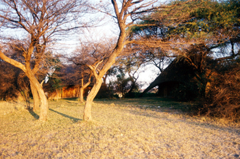 Amanecer dorado, Namibia