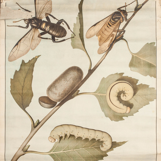 IES_RAMIRODEMAEZTU_BIOLOGIA_003