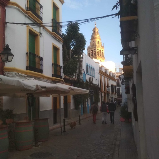 Viaje cultural Córdoba-Granada 20