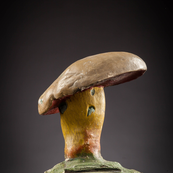 IES_SANISIDRO_MUSEO_Botanica_064