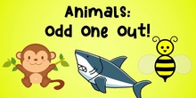 Animals: Odd-one-out