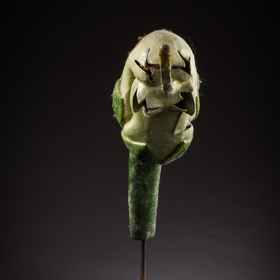 IES_ISABELLACATOLICA_BIOLOGIA_080