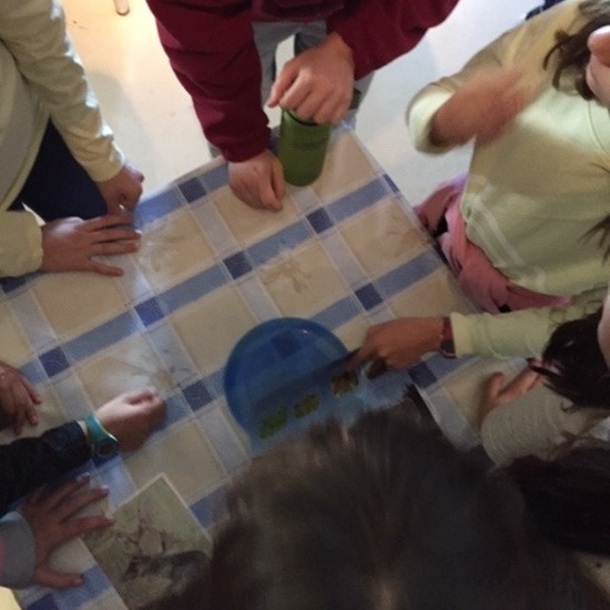 Centro de Interpretación de la Naturaleza. Montecarmelo. 6º curso. 29