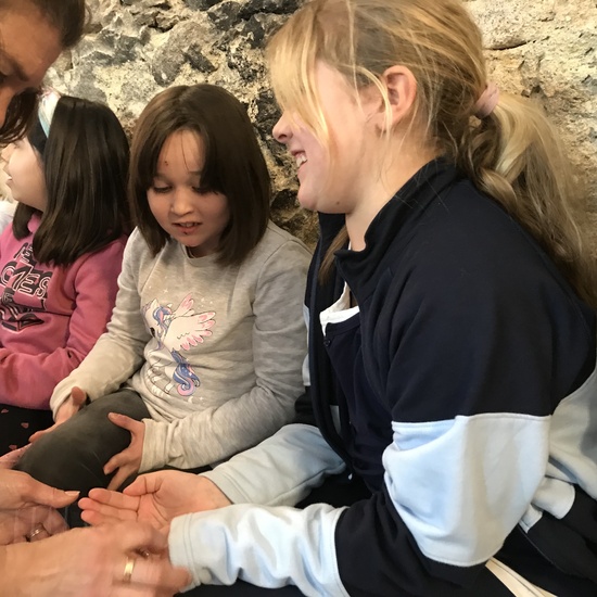 2020_02_27_3º visita Insectpark (4)_CEIP FDLR_Las Rozas 26