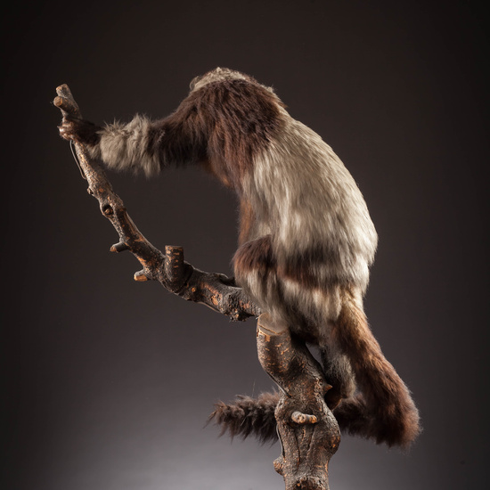 IES_SANISIDRO_MUSEO_Zoolgía_027