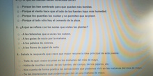 PREGUNTAS COMPRENSIÓN LECTORA 15 DE ABRIL