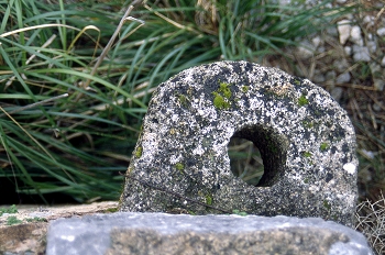 Piedra de molino